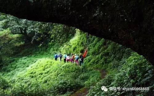怎么样把电动车刹车弄得失灵-精准问答平台,解答你的疑惑